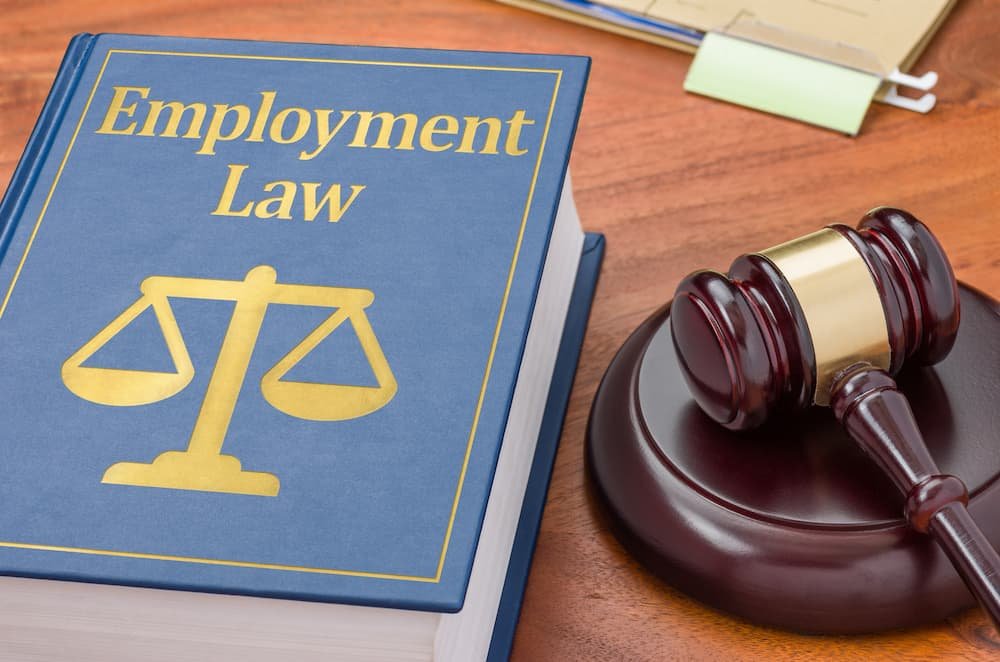 Employment Law Lawyers