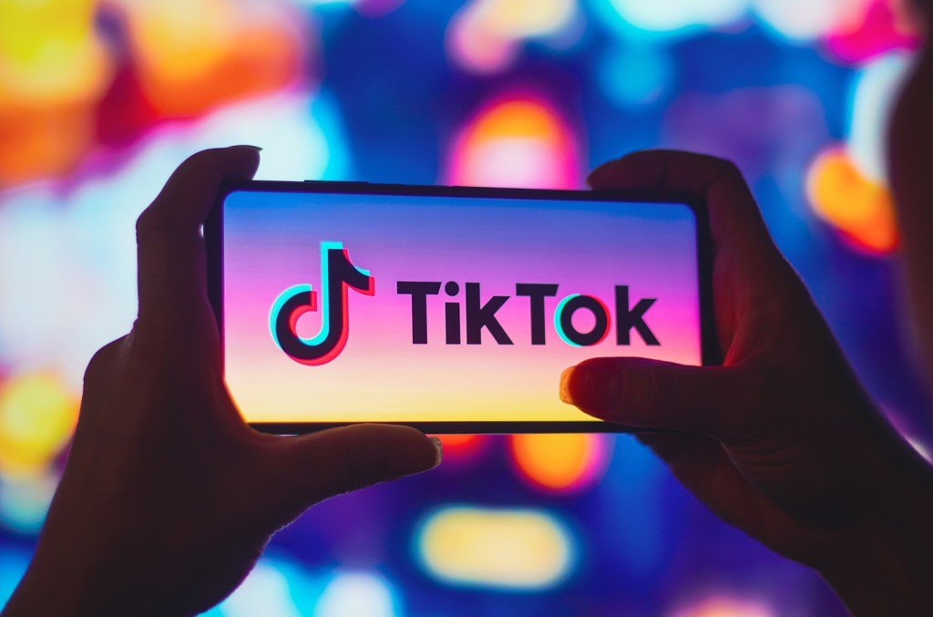 TikTok Sues to Overturn U.S. Law Forcing Sale or National Ban