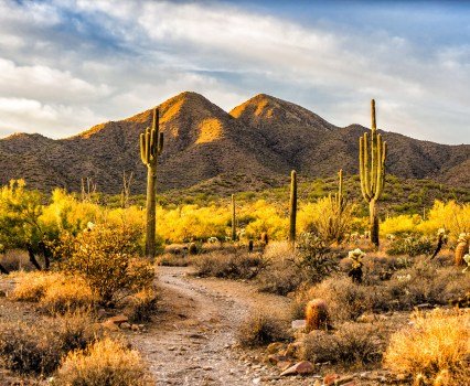 Arizona Expands Path to Attorney Licensure — Justia News — July 22, 2024