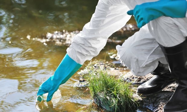 Groups Challenge New Regulations for Endangered Species Initiated Under Previous Administration