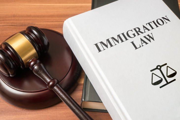What Do Immigration Lawyers Do and How They Can Help You in New York