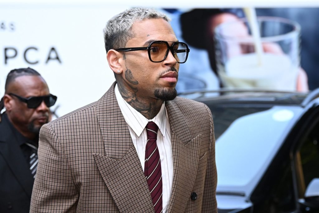 Chris Brown Wants Rihanna Assault Barred From Dog Attack Trial